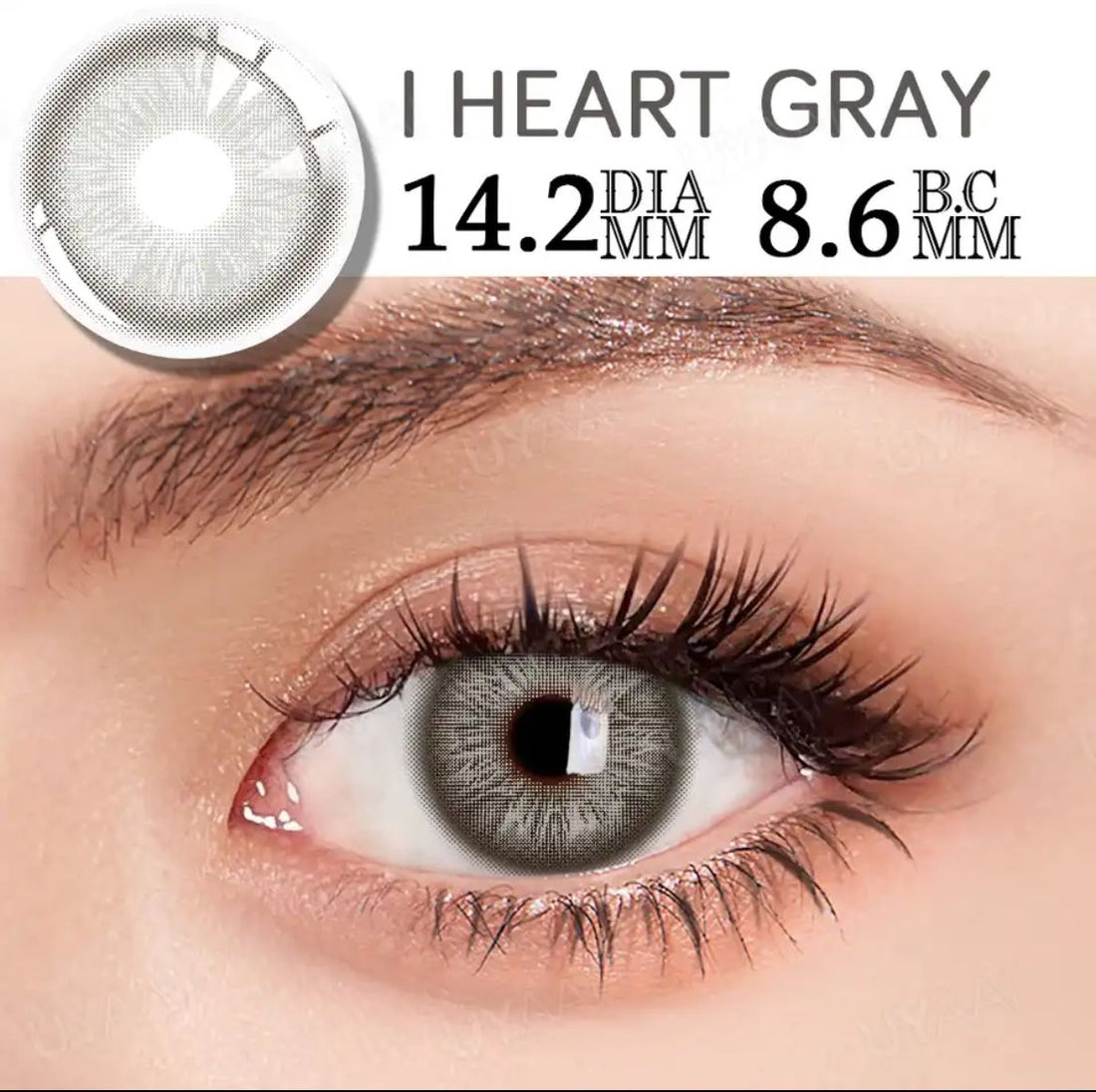 I heart grey lenses