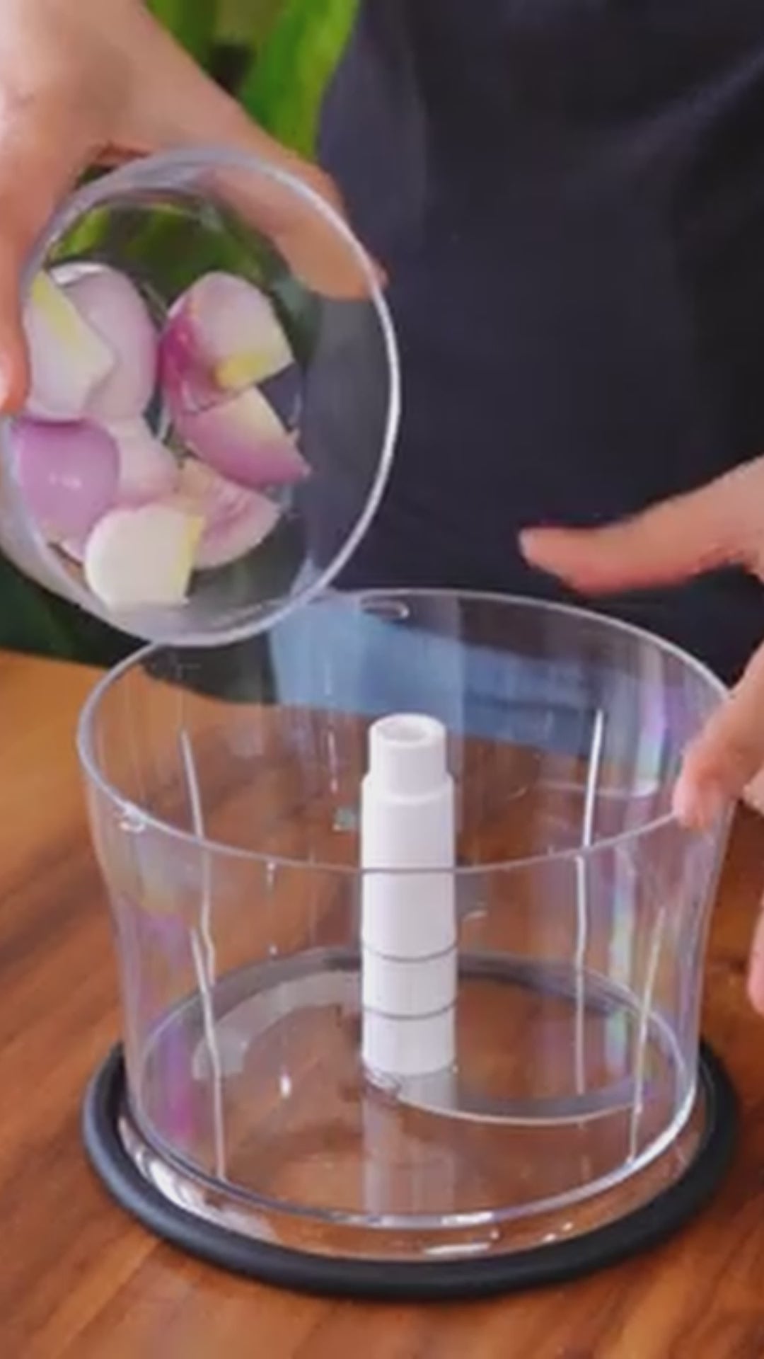 Manual Fruit and Vegetable Chopper